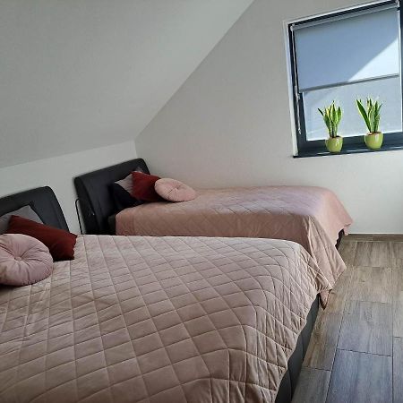 Apartmaji Tisa In Zana Rovte Zewnętrze zdjęcie