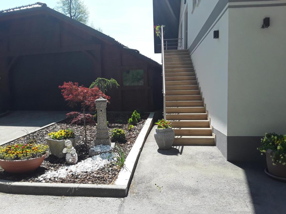 Apartmaji Tisa In Zana Rovte Zewnętrze zdjęcie