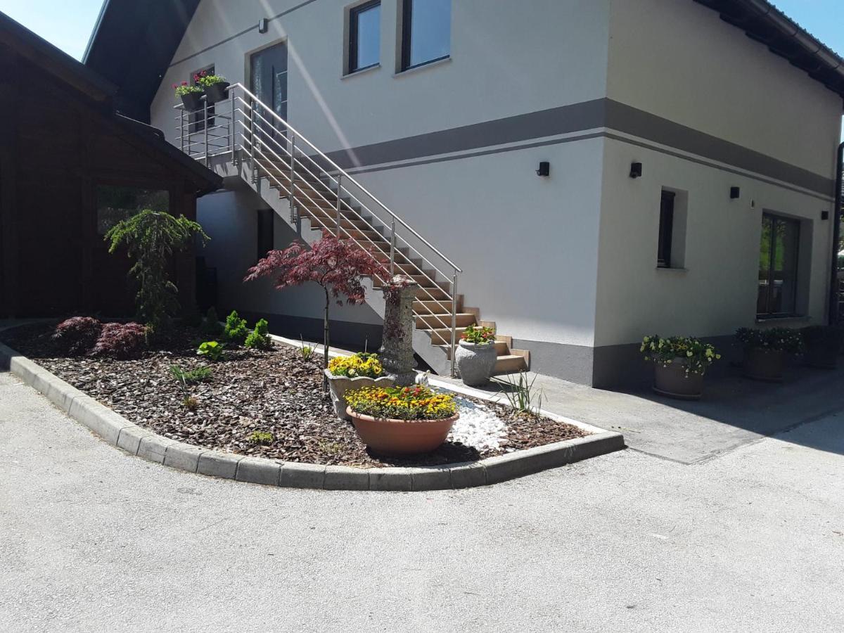 Apartmaji Tisa In Zana Rovte Zewnętrze zdjęcie