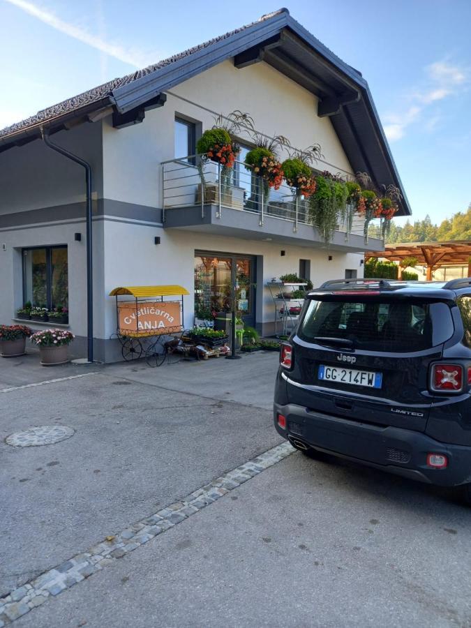 Apartmaji Tisa In Zana Rovte Zewnętrze zdjęcie