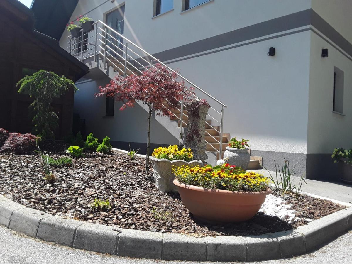 Apartmaji Tisa In Zana Rovte Zewnętrze zdjęcie
