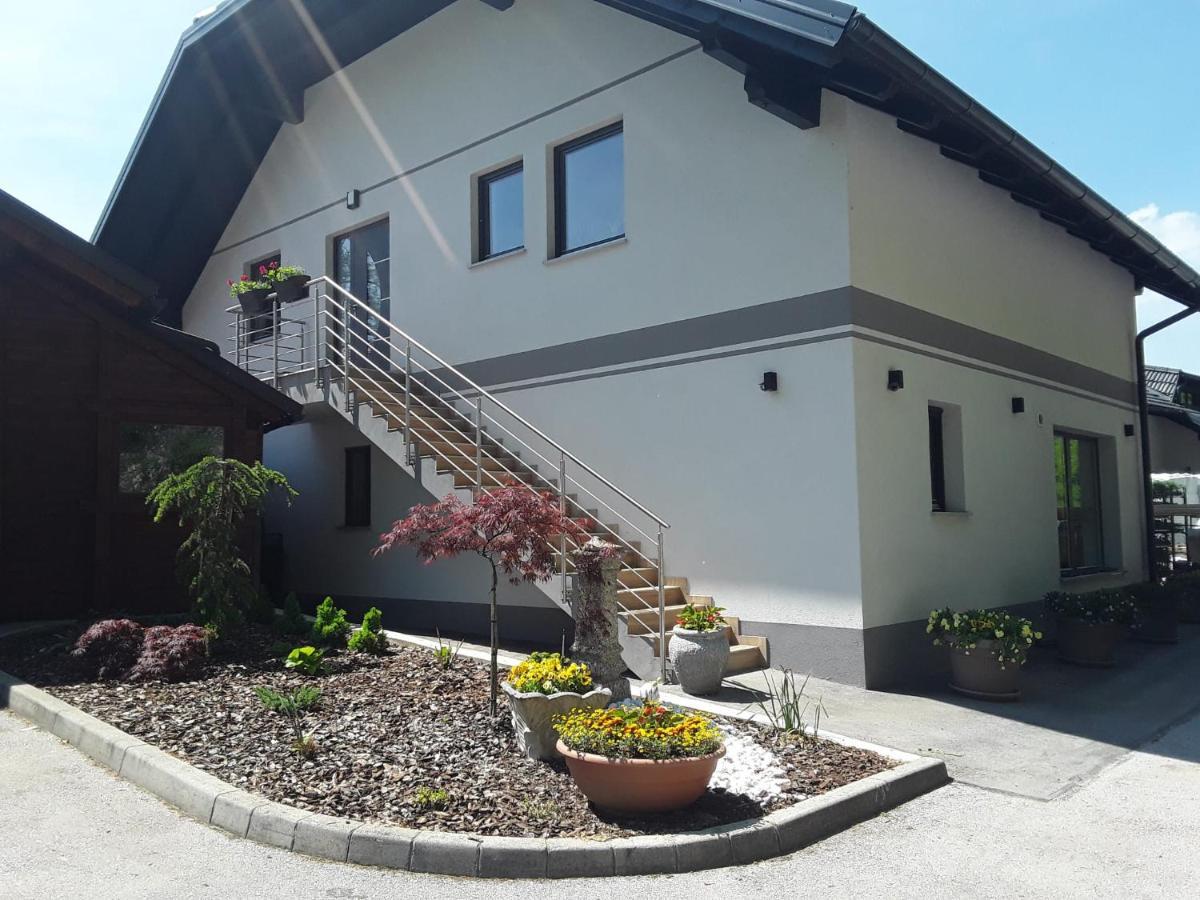 Apartmaji Tisa In Zana Rovte Zewnętrze zdjęcie