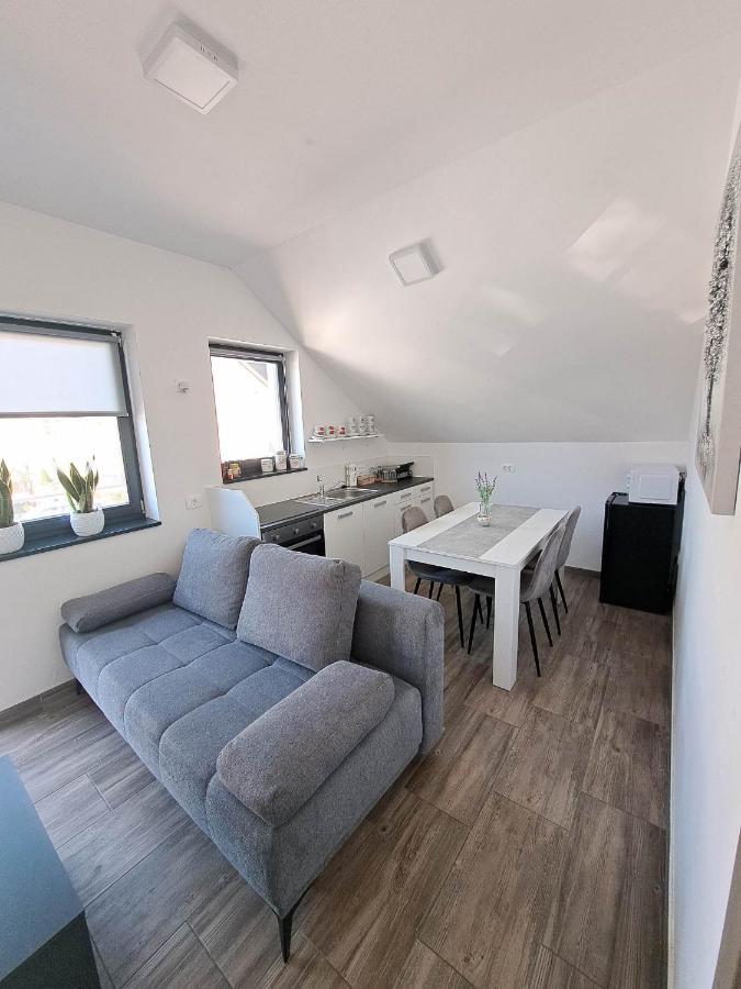 Apartmaji Tisa In Zana Rovte Zewnętrze zdjęcie