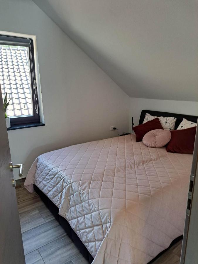 Apartmaji Tisa In Zana Rovte Zewnętrze zdjęcie