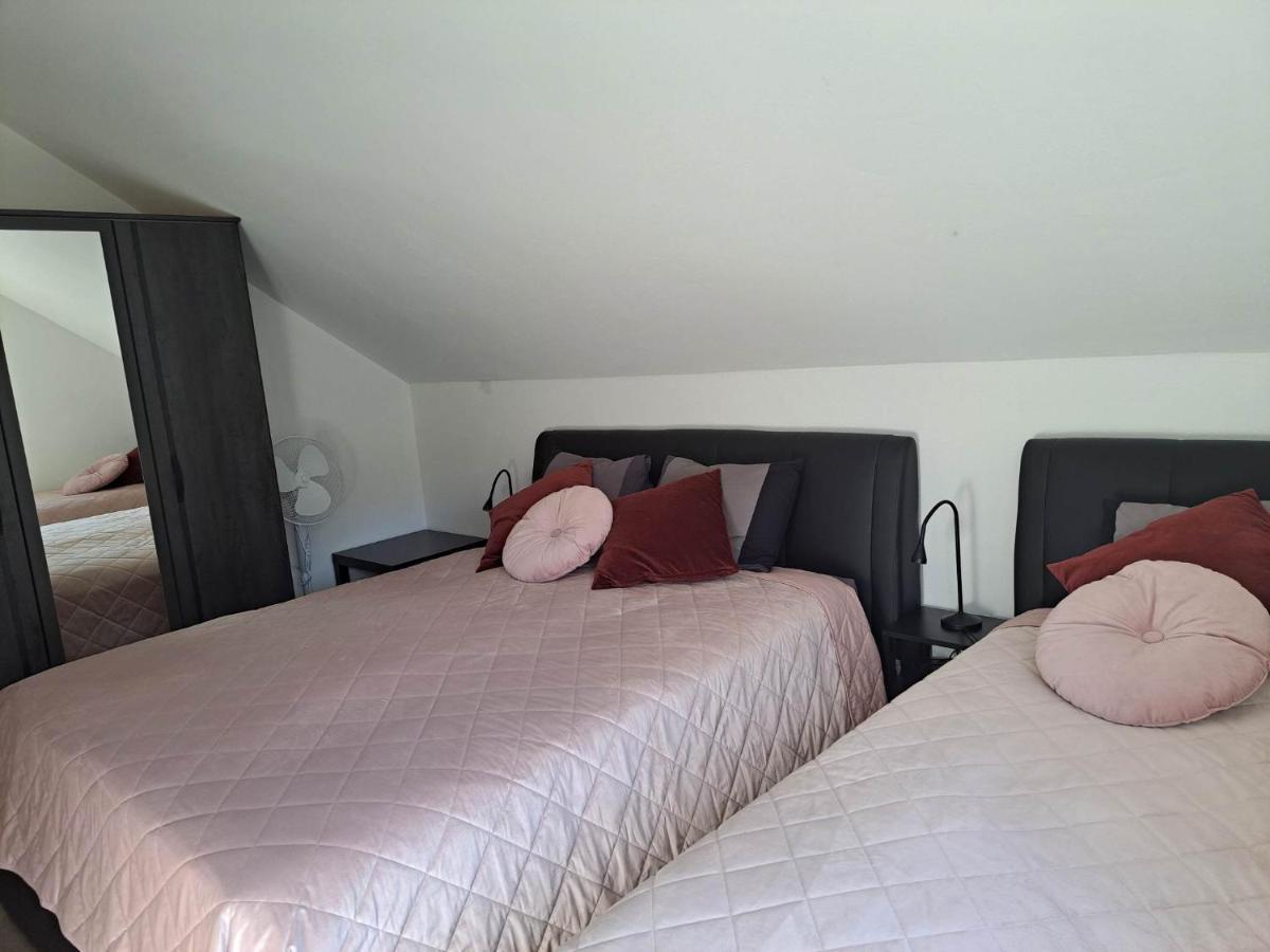 Apartmaji Tisa In Zana Rovte Zewnętrze zdjęcie