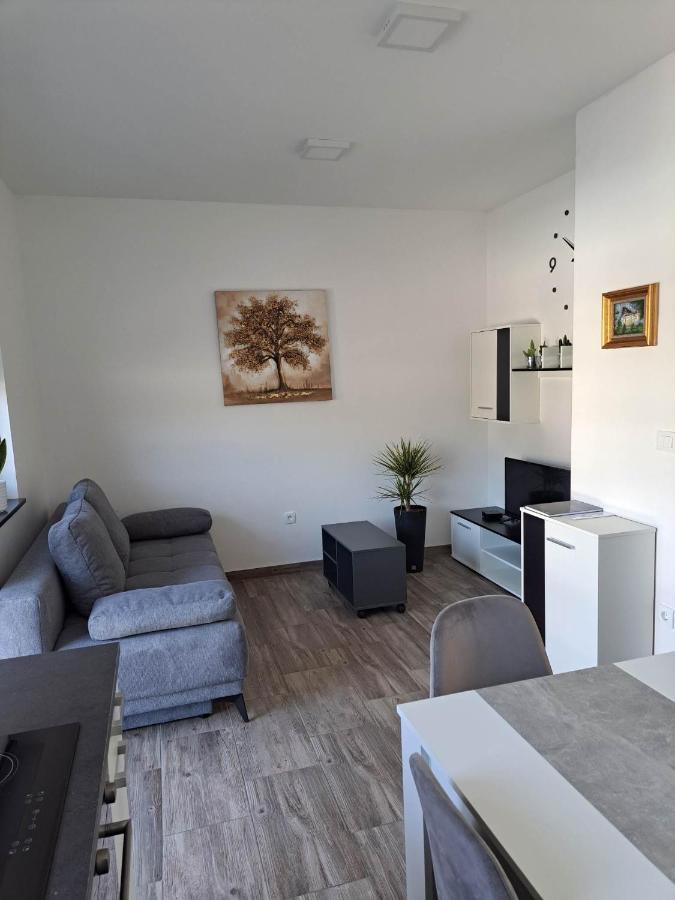 Apartmaji Tisa In Zana Rovte Zewnętrze zdjęcie