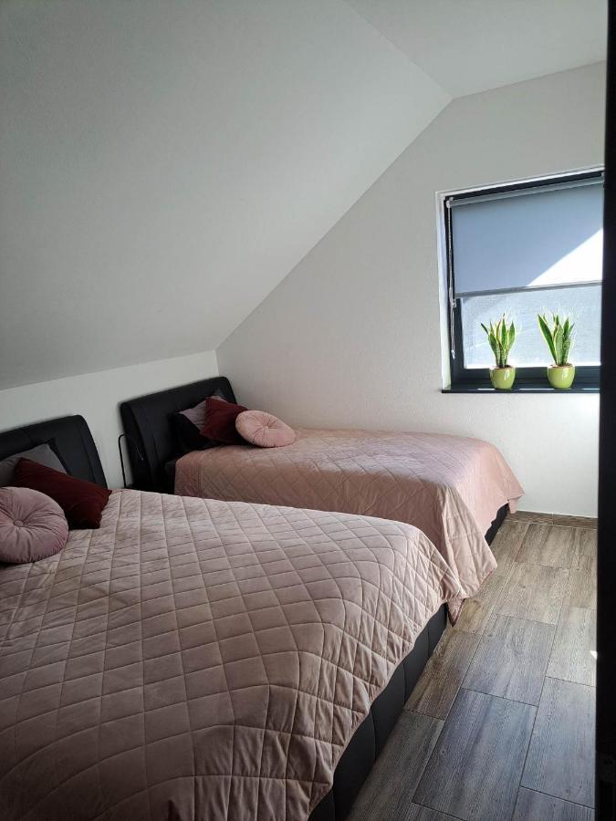 Apartmaji Tisa In Zana Rovte Zewnętrze zdjęcie