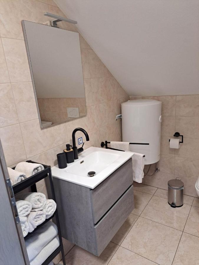 Apartmaji Tisa In Zana Rovte Zewnętrze zdjęcie