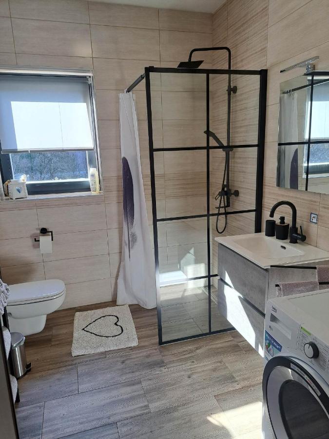 Apartmaji Tisa In Zana Rovte Zewnętrze zdjęcie