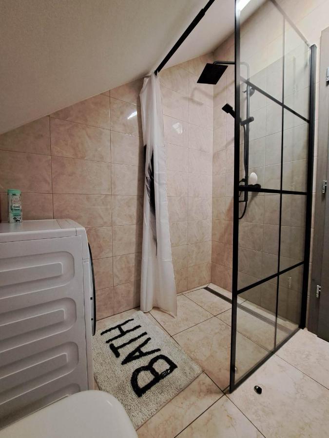 Apartmaji Tisa In Zana Rovte Zewnętrze zdjęcie